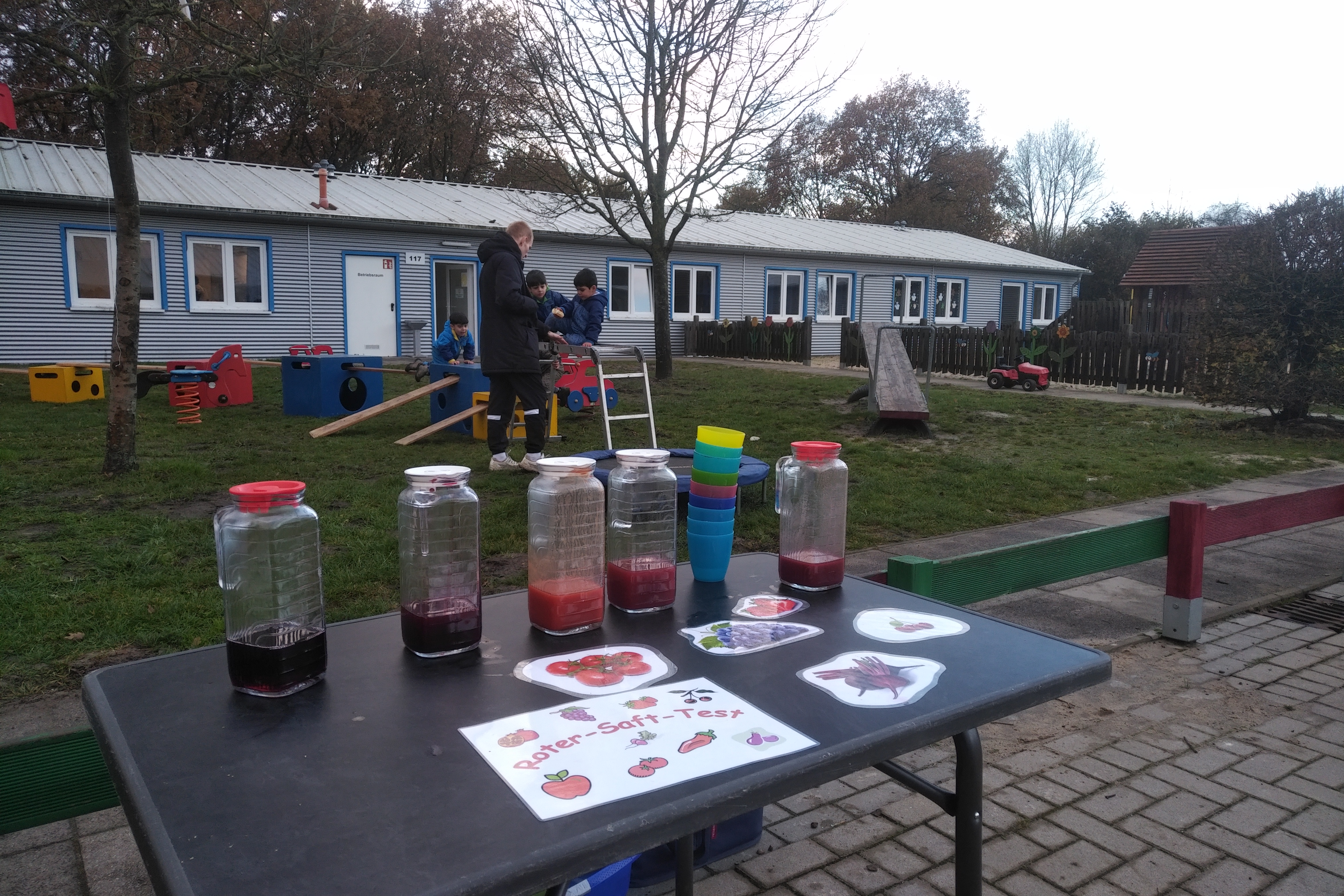 Roter Saft Test Wardamm